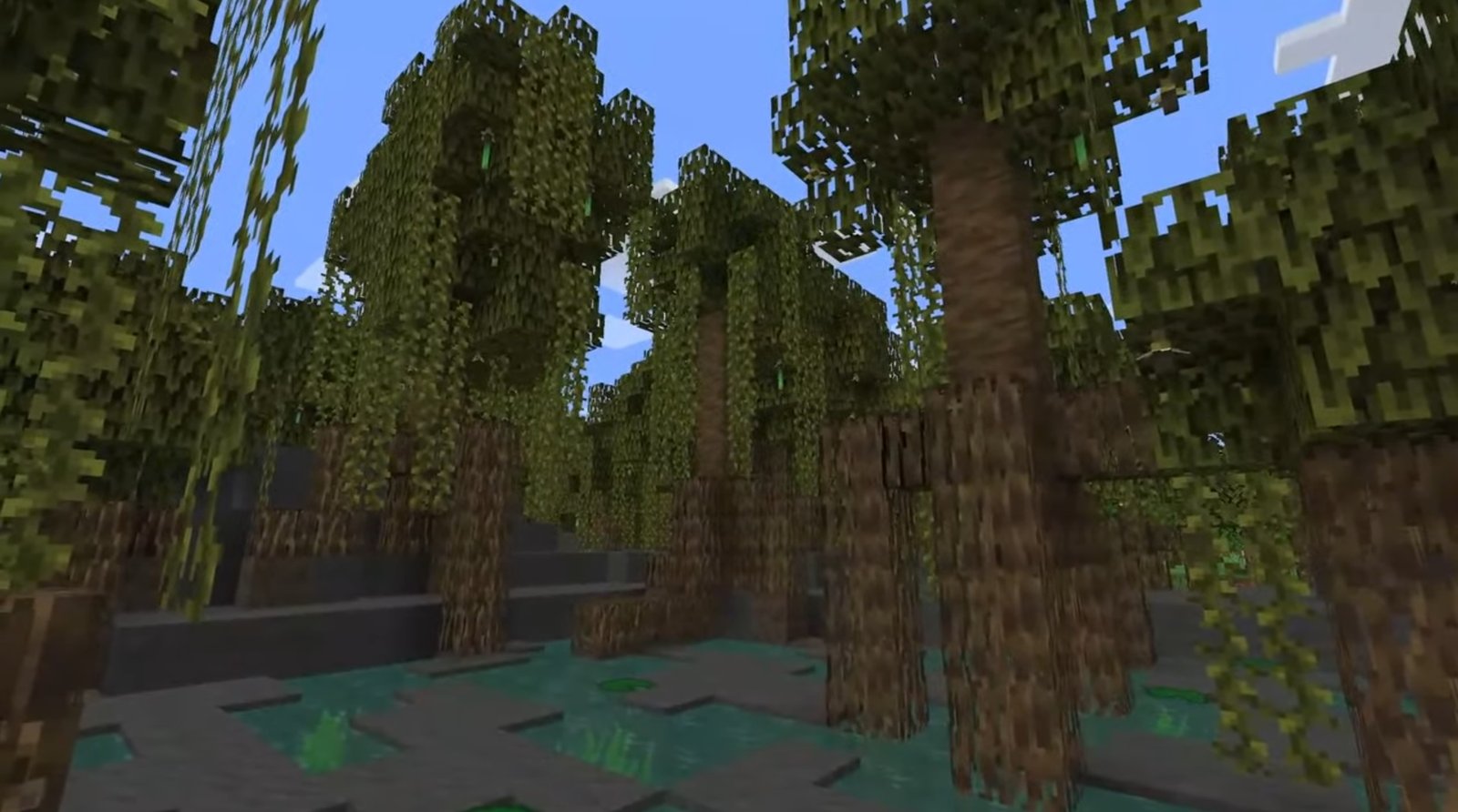Minecraft - A swamp full of mangrove trees coming in update 1.19
