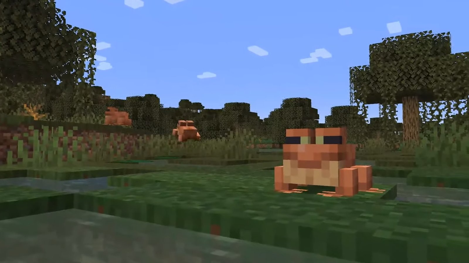 Minecraft - Orange frogs sit on the ground in a swamp biome