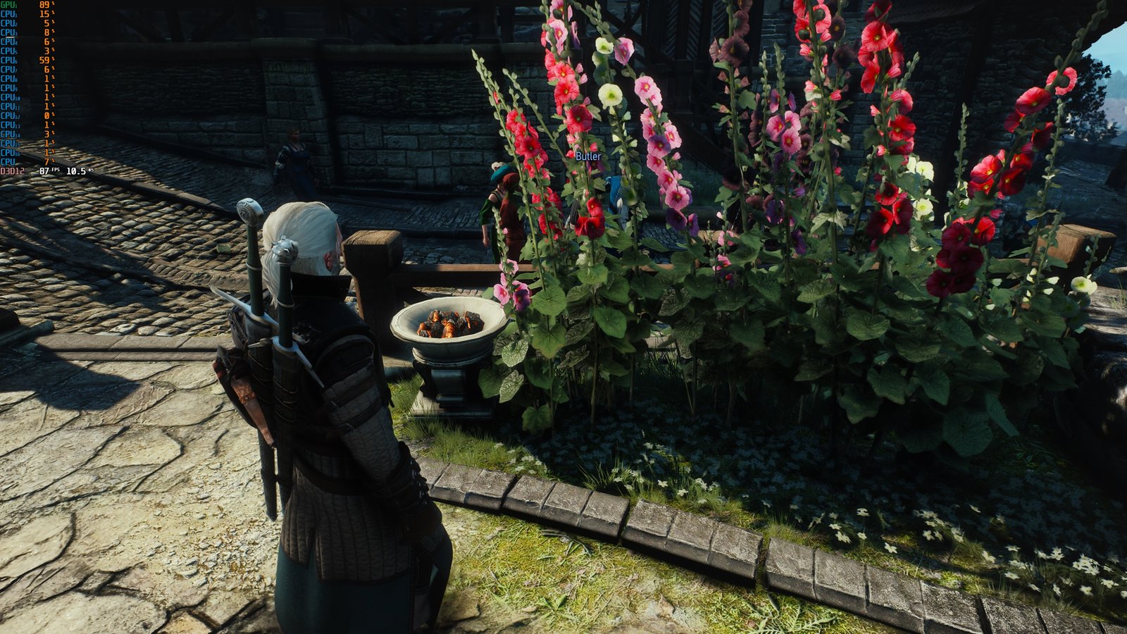 Novigrad witcher 3 screenshot showing foliage with HBAO enabled